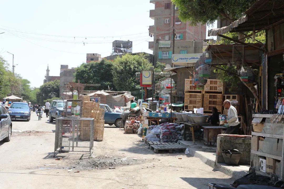 محافظ القاهرة : الانتهاء من اقامة سوق الحمام الجديد بمنطقة السيدة عائشة ونقل الباعة