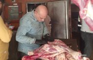 محافظ القليوبية يتابع حملات ضبط الأسواق.. والتحفظ على ذبيحة مريضة وغير صالحة للاستهلاك الآدمي ببنها