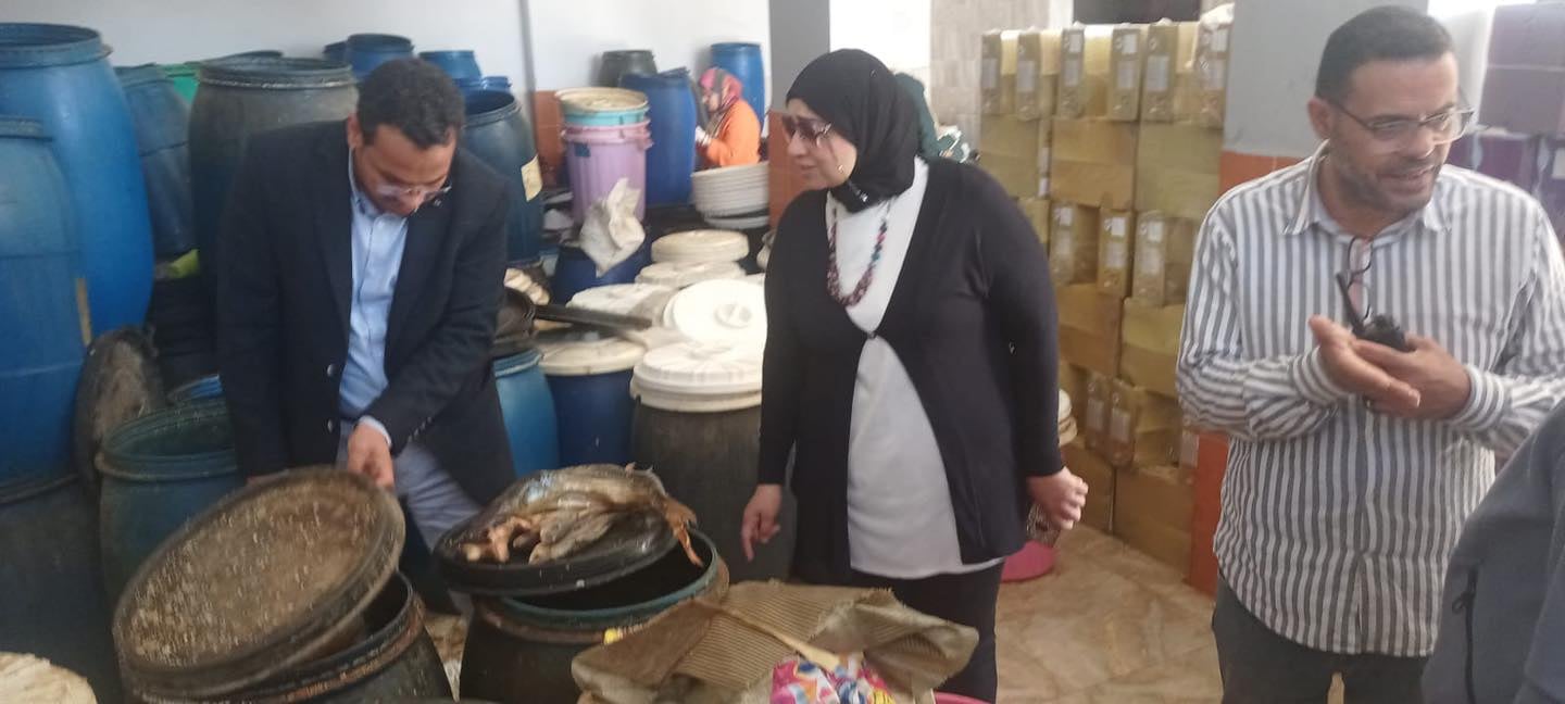 صحة السويس : ضبط 466 كيلو أسماك متنوعه غير صالحه للإستهلاك الأدمي