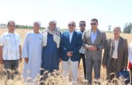 محافظ السويس يشهد إحتفالية حصاد القمح ويؤكد علي الدعم الكامل للمزارعين