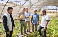 بحوث الصحراء يواصل متابعة الأنشطة الإرشادية والخدمية بمحطاته البحثية بسيوة والوادي الجديد