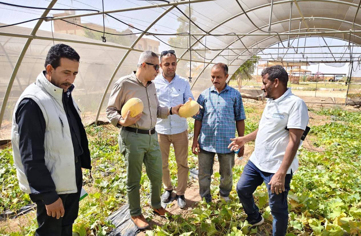 بحوث الصحراء يواصل متابعة الأنشطة الإرشادية والخدمية بمحطاته البحثية بسيوة والوادي الجديد