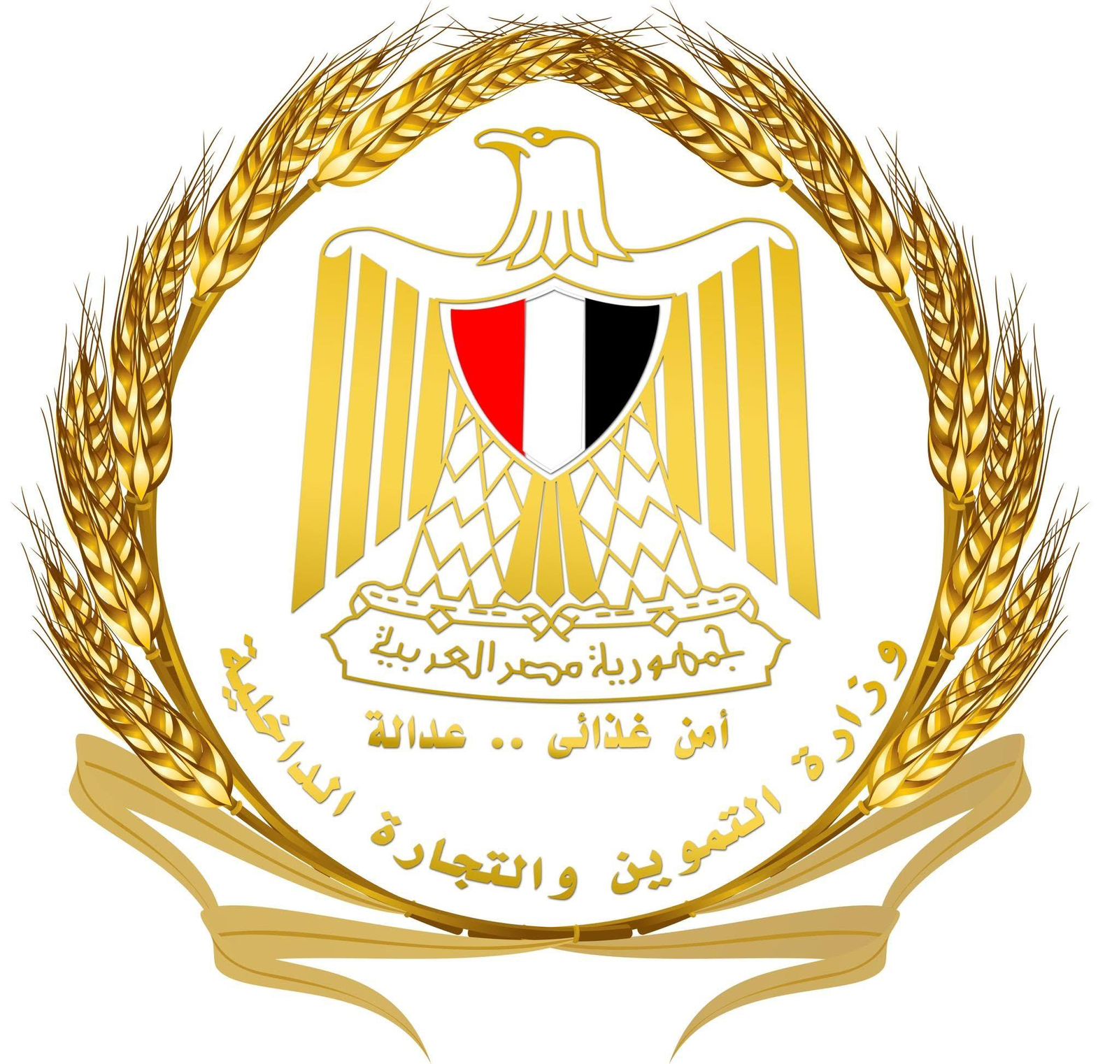 ضبط وإعدام 3 أطنان من الدواجن النافقة وغير الصالحة للاستهلاك الآدمي بالجيزة