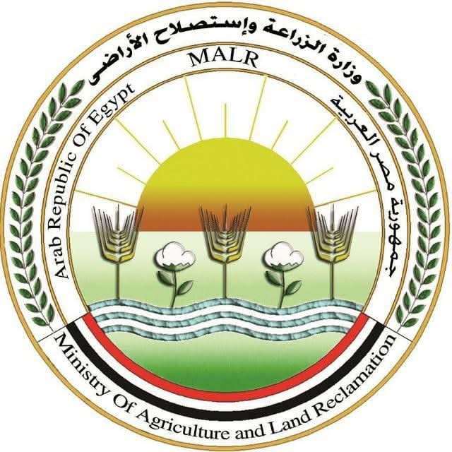 غدا.. 