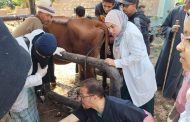 الزراعة: فحص وعلاج 1862 رأس ماشية وتقديم خدمات بيطرية مجانية لصغار المربين في قرى أسيوط