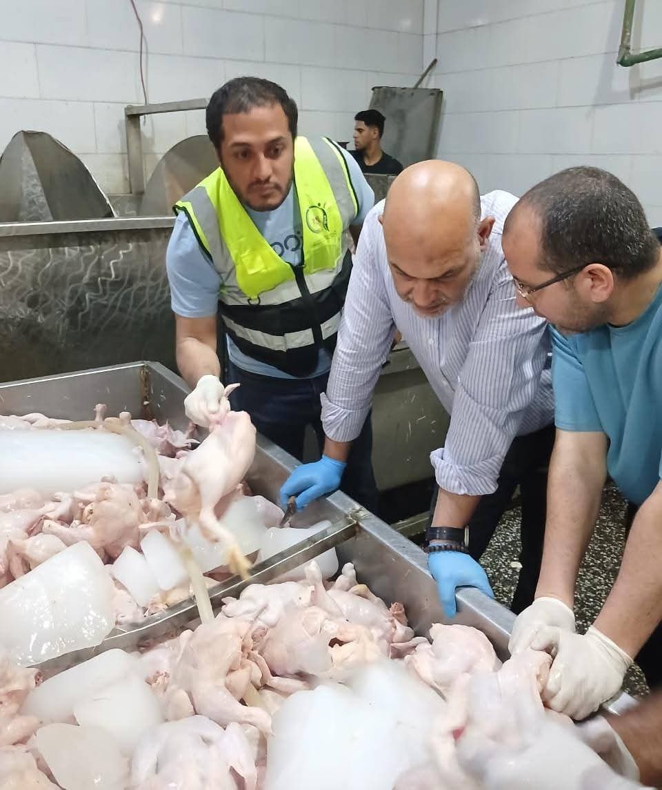 محافظ القليوبية يتابع جهود 