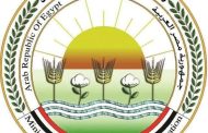 الزراعة.. تكشف عن أبرز جهود وأنشطة المركزي لمتبقيات المبيدات خلال إبريل