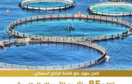 لرفع كفاءة الإنتاج السمكي وزيادة المعروض بالأسواق المزارع تحقق معدلات إنتاج متميز