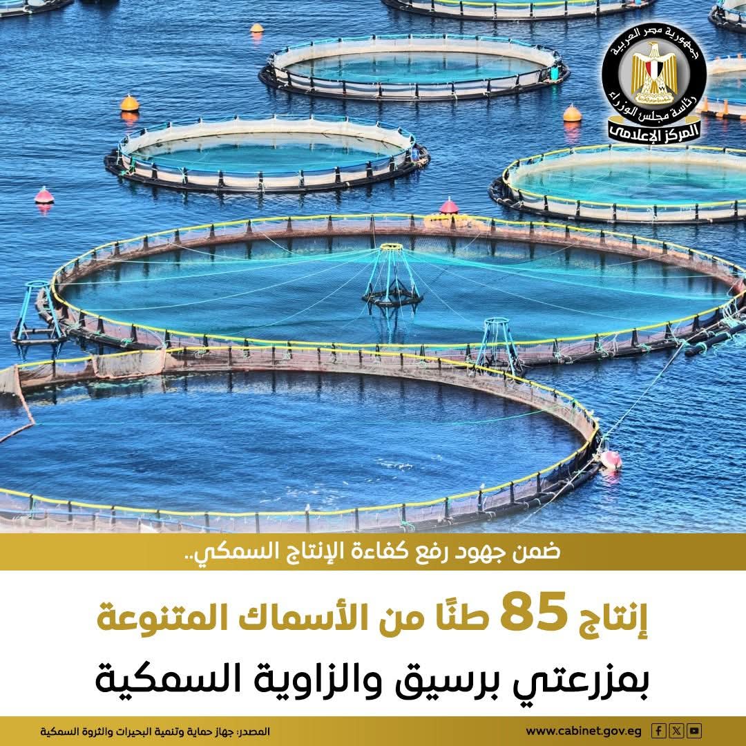 لرفع كفاءة الإنتاج السمكي وزيادة المعروض بالأسواق المزارع تحقق معدلات إنتاج متميز