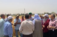 فاروق.. الزراعة تنظم يوم حصاد موسع للقمح بمحطة بحوث سدس ببني سويف لتعزيز الانتاجية ومواجهة التغيرات المناخية