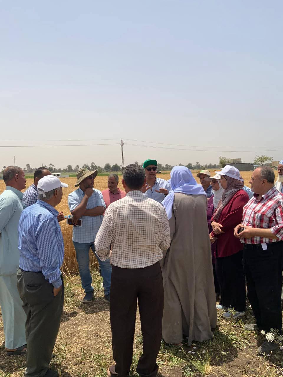 فاروق.. الزراعة تنظم يوم حصاد موسع للقمح بمحطة بحوث سدس ببني سويف لتعزيز الانتاجية ومواجهة التغيرات المناخية