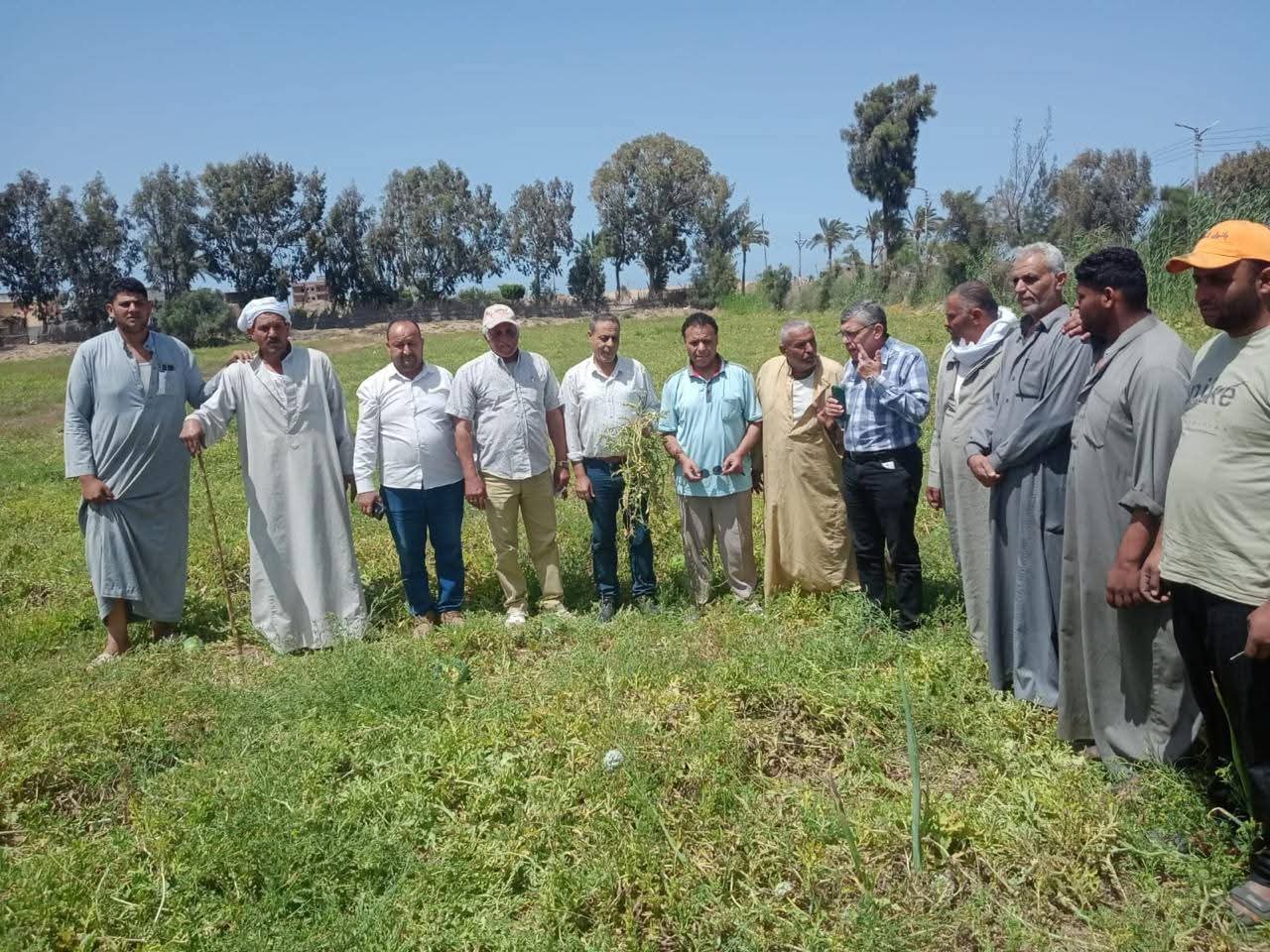 الزراعة.. تكشف حقيقة شكوى مزارع البطيخ ببلطيم: المشكلة تنحصر في 7.5 فدان فقط