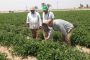 هيئة مواني البحر الأحمر تستقبل1641راكبا