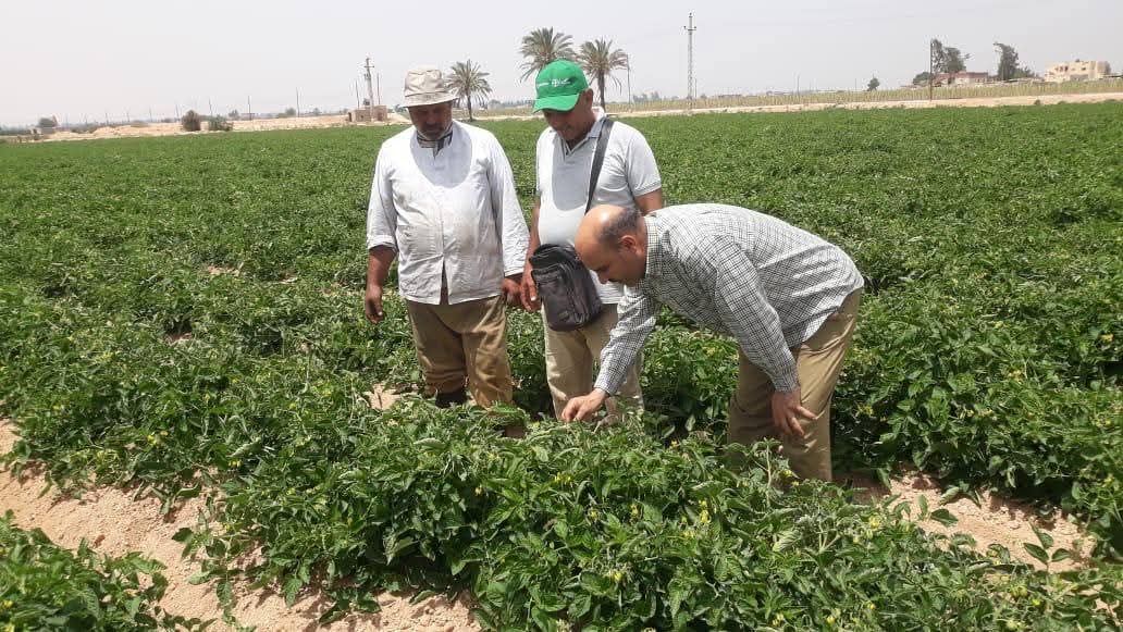 الزراعة تستعرض جهود وأنشطة معاهد ومعامل مركز البحوث الزراعية