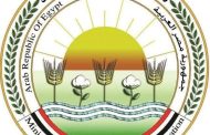 الزراعة تُعلن الجاهزية القصوى لعيد الأضحى: الإشراف على الذبح المجاني بـ 497 مجزرا
