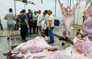 الزراعة تعلن ذبح 7,681 أضحية بالمجازر الحكومية 