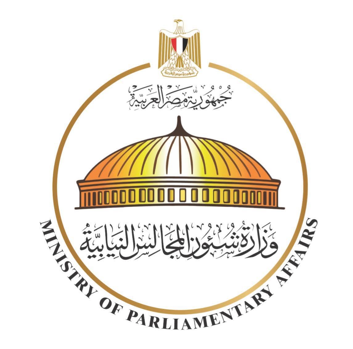 وزير شئون المجالس النيابية ينفي سحب مشروع 