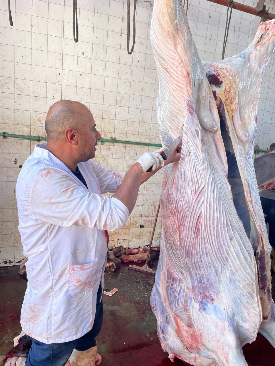 الزراعة.. تعلن ذبح 35,514 أضحية بالمجازر الحكومية مجاناً للمواطنين بعيد الأضحى المبارك