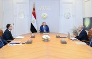 الرئيس السيسى يستعرض مشرعات الطاقة