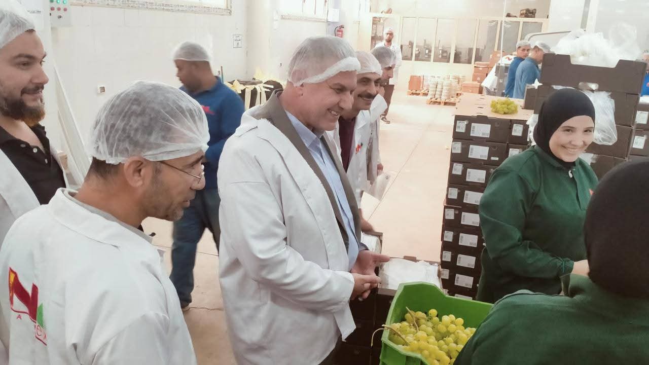 الزراعة.. تُكثف جولاتها على منافذ الحجر الزراعي ومحطات التعبئة لضمان جودة الصادرات وتسهيل إجراءات المصدرين