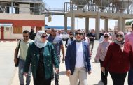 محافظ الوادي الجديد: توريد أكثر من نصف مليون طن قمح حتى الآن