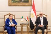 عبد اللطيف يلتقي وزيرة التكوين والتعليم المهنيين الجزائرية لبحث آفاق التعاون المشترك