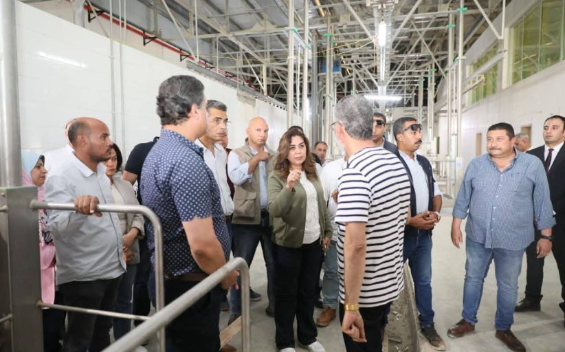 عوض: المجزر هو الأكبر في محافظة البحر الأحمر ويحقق عوائد اقتصادية وبيئية