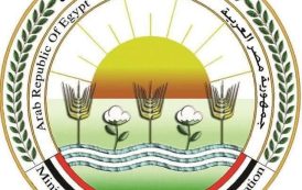 الزراعة تكثّف جهود تعظيم الاستفادة من المخلفات الحيوانية: إنتاج أكثر من 3700 طن من منتجات التدوير بالمجازر