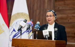 القومي للمرأة ينظم ورشة عمل لدعم المشروعات الخضراء الذكية وتمكين المرأة والشباب