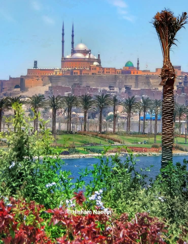 الموجة الحارة تُحكم قبضتها على القاهرة.. والشواطئ ملاذ السواحل الشمالية