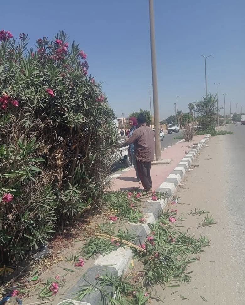 محافظ المنيا: متابعة يومية لمنظومة النظافة والتجميل ورفع المخلفات للحفاظ على البيئة بالمراكز