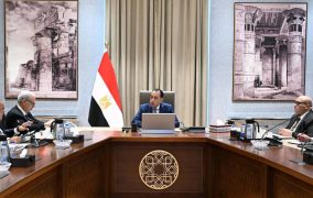 رئيس الوزراء يتابع جهود تنفيذ خطة إعادة هيكلة وحوكمة الشركات المملوكة للدولة