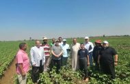 الزراعة تتابع زراعات القطن بالدقهلية وتقدم الدعم الفني للمزارعين