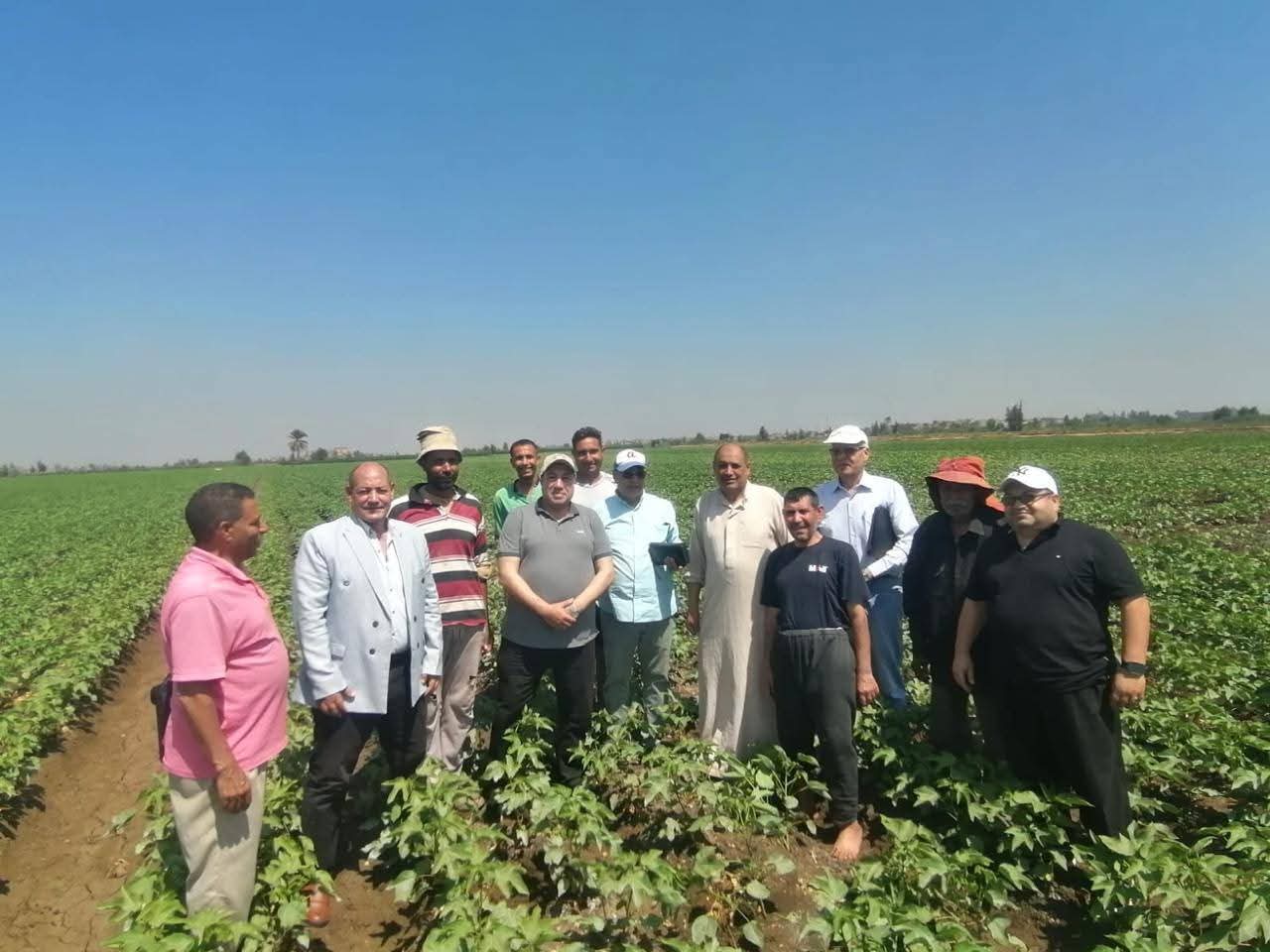 الزراعة تتابع زراعات القطن بالدقهلية وتقدم الدعم الفني للمزارعين