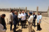 محافظ القاهرة: إنجاز 90% من «شلتر التبين» للكلاب الضالة.. ومنهج علمي يجمع بين السلامة العامة والرفق بالحيوان