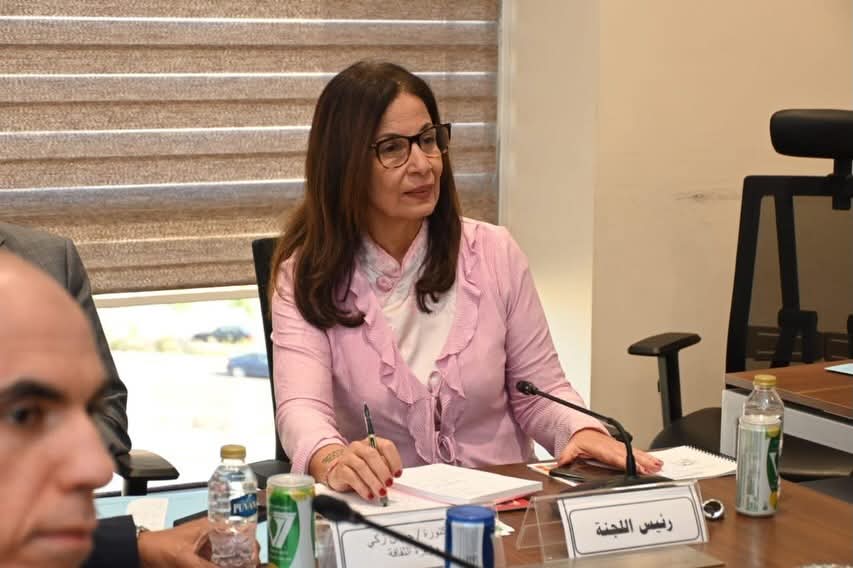 زكى تشارك في لجنة الدفاع والأمن القومي بمجلس النواب
