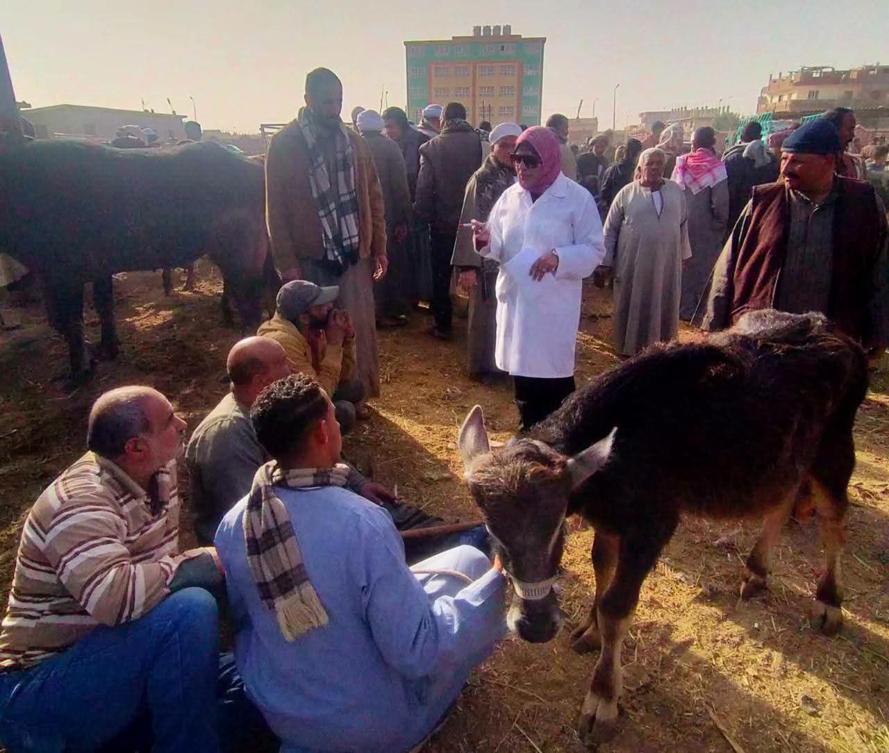 الزراعة.. تكثف الإنذار المبكر لحماية الثروة الحيوانية والداجنة: أكثر من 16 ألف زيارة للمنازل وأسواق الماشية بالقرى