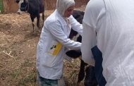 بـ 8 ملايين جرعة .. 