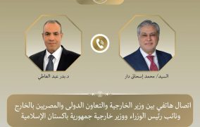 وزير الخارجية يبحث مع نظيره الباكستاني التطورات الإقليمية