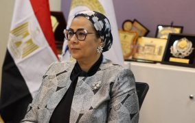 عمار تتابع أعمال فروعه بالمحافظات وتؤكد: التمكين الاقتصادي للمرأة أولوية المرحلة المقبلة