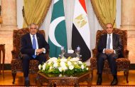 عبد العاطي يستقبل نائب رئيس الوزراء ووزير خارجية باكستان