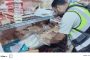 هدى حجاجى تكتب.. بمناسبة عيد الأب.. أبي.. سيرتي الذاتية