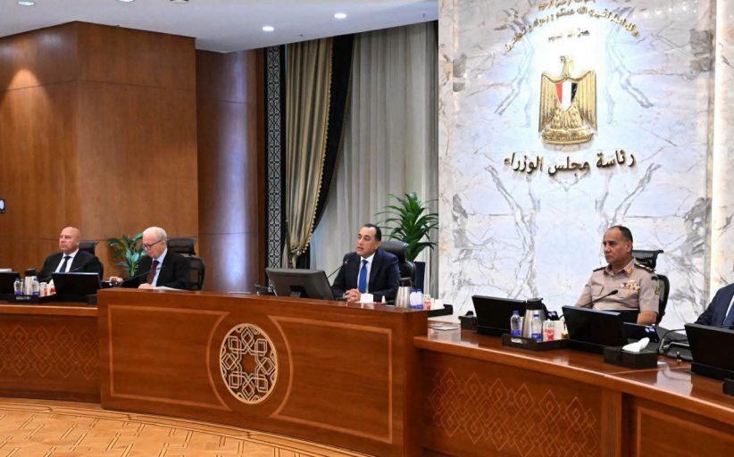 بـ9 قرارات استراتيجية.. الحكومة تدعم منظومة القطن، وتمدد