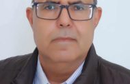 د. أحمد بلخيري يكتب .. النقد المسرحي المغربي تحت المجهر