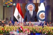 مصر تستعرض أولوياتها لتعزيز التعاون في مجالات الطاقة والتعدين بين دول البريكس