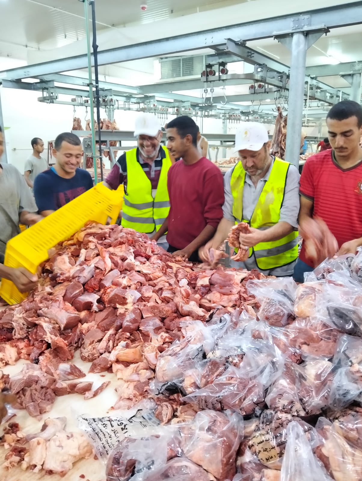 الأوقاف تبدأ أعمال التشفية والتعبئة والتجميد ضمن مشروع صكوك الأضاحي تمهيدًا للتوزيع على الأسر الأولى بالرعاية