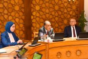 وزير الخارجية يتابع سير العمل بقطاع التعاون الدولي