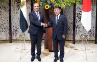 الجولة الثالثة من الحوار الاستراتيجي بين وزيري خارجية مصر واليابان حول القضايا الإقليمية