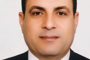 د. ذكرى الصيفى يكتب.. دلالات مشاركة مصر في قمة السبع