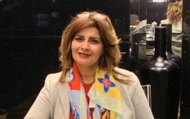 الدبلوماسية الرقمية وصورة العرب في العالم.. «الحوار والتعاون الدولي» تناقش آليات جديدة للتأثير العالمي
